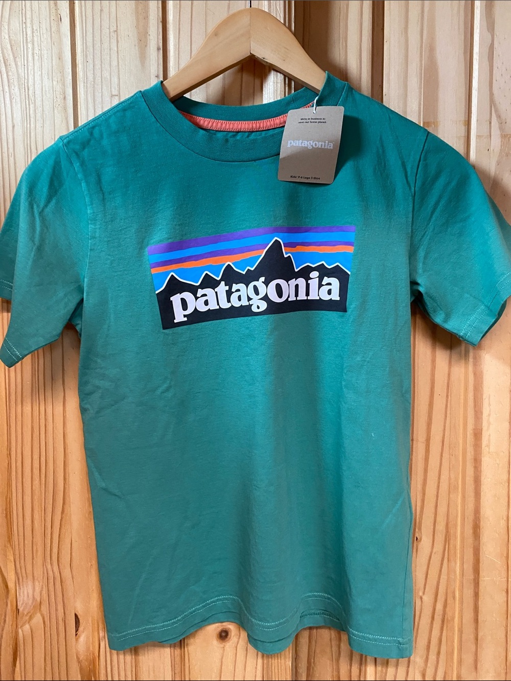 Patagonia Teal Kids Short-Sleeve Logo Tee